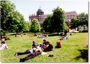 Universitt Potsdam
